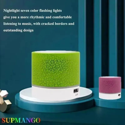 Bluetooth Mini Speaker