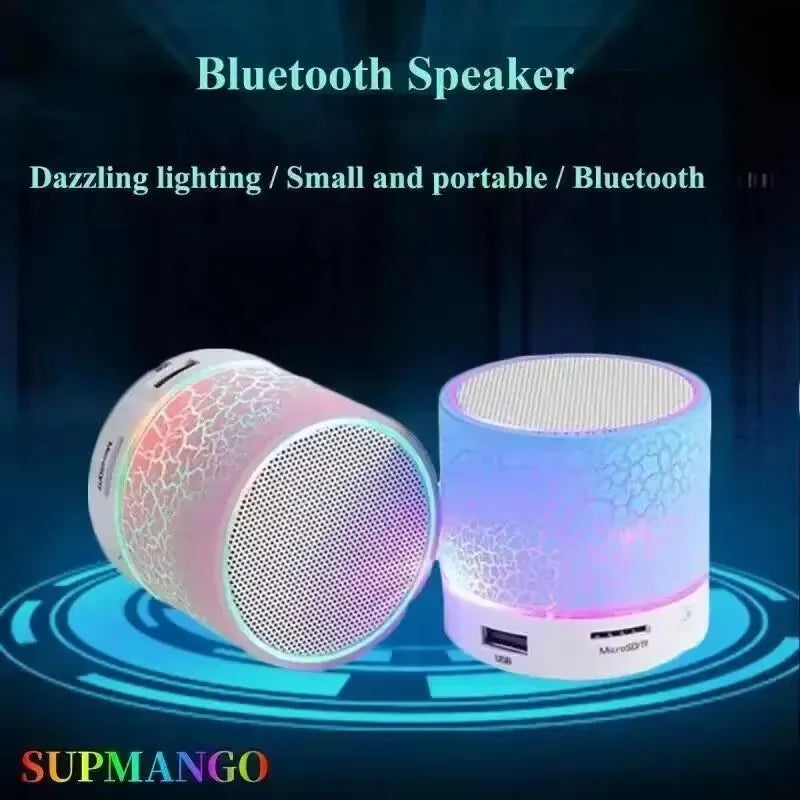 Bluetooth Mini Speaker